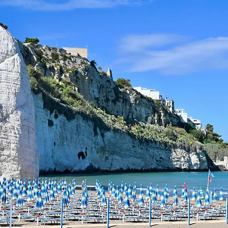 Rooftop - Sea View Near Pizzomunno - Secure Parking Available Holiday home *